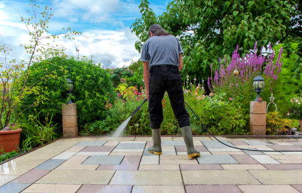 Best Roof Washing  in Mercer Island, WA